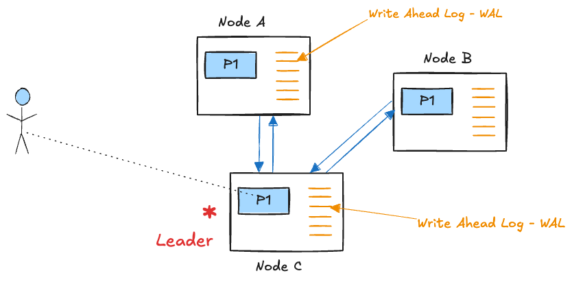 dynamo-leader-write